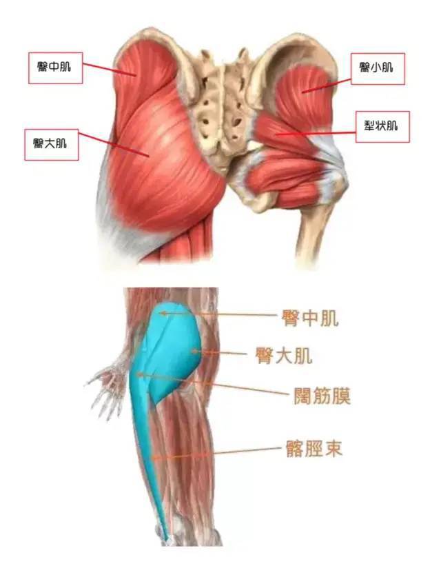 最新臀療手法視頻，探索臀部美麗與健康之道