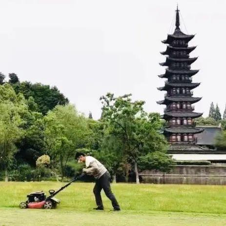 中山年票最新動態(tài)，政策調(diào)整及未來展望