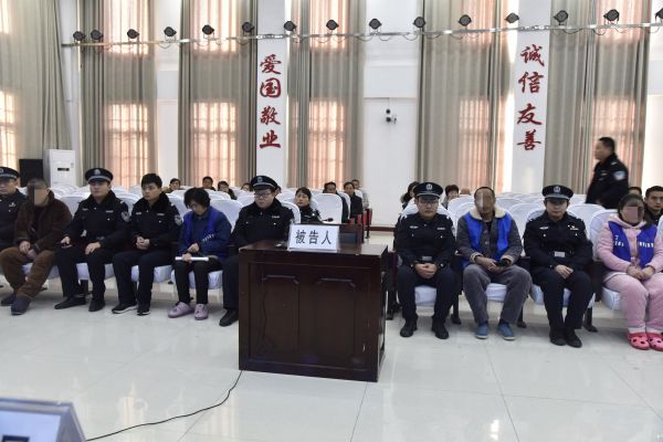 河南泌陽(yáng)最新刑事案件深度剖析