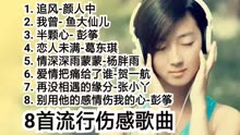 最新流行傷感好聽(tīng)歌曲，音樂(lè)中的情感世界